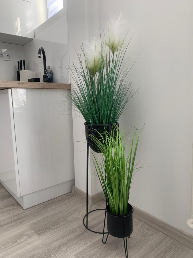Apartment D&v *