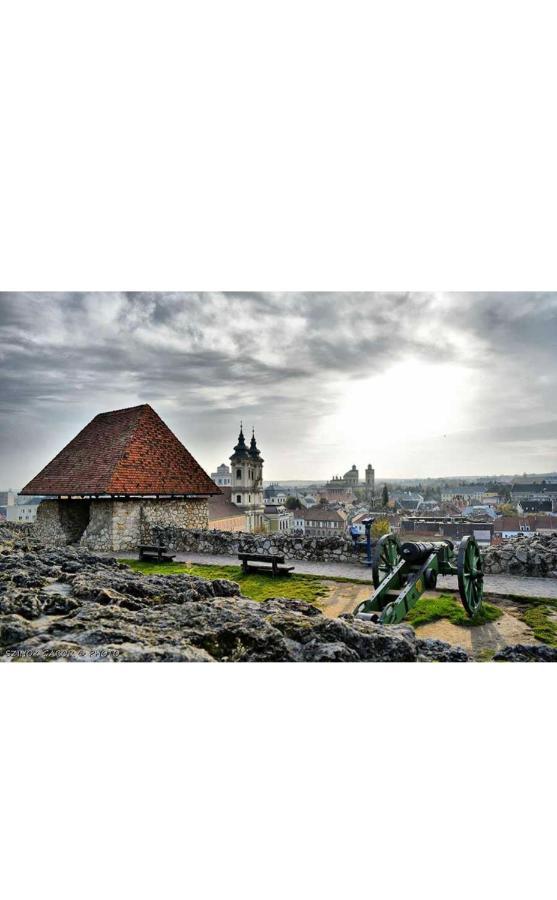 D&v Eger