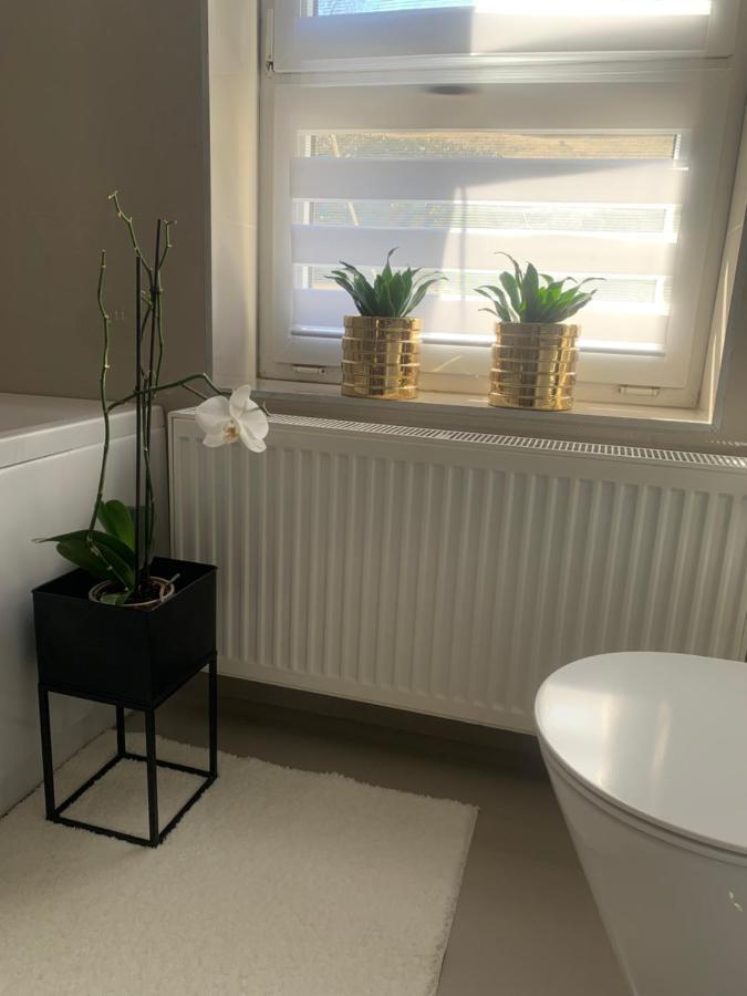 Apartment D&v *