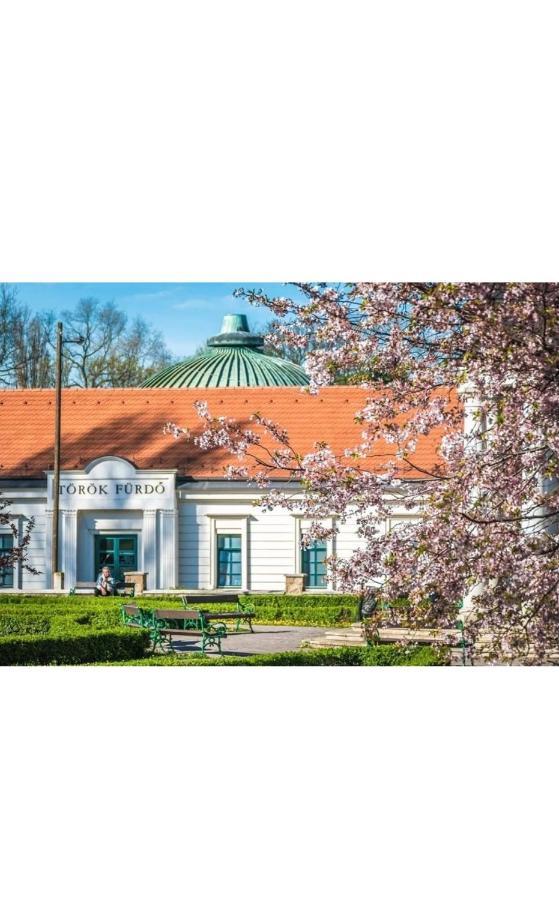 D&v * Eger